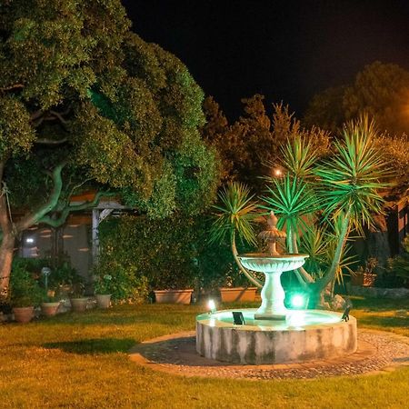 B&B Villagus Praia a Mare Exterior foto